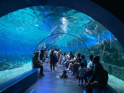 manila ocean park entrance fee per head|√ Manila Ocean Park Entrance Fee August 2024 .